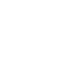 icon declaration